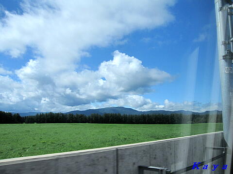 8IMG_4706