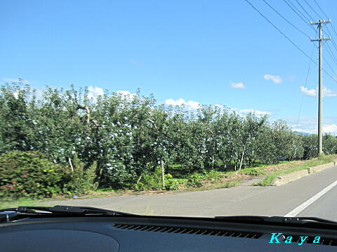 6IMG_5703