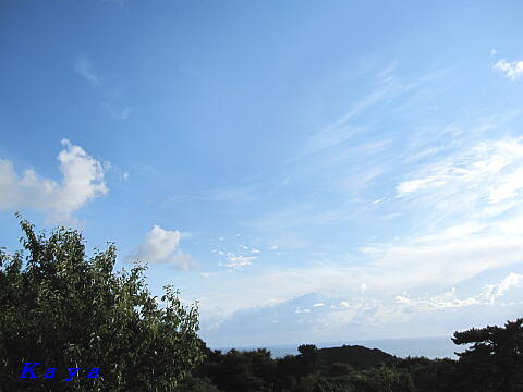 4IMG_5341