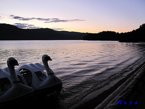 5IMG_5939
