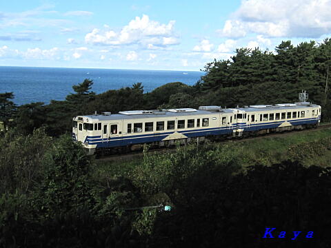 8IMG_54712