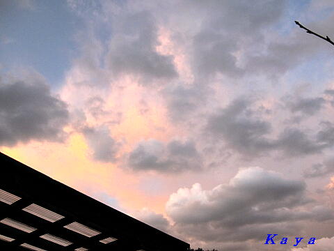 8IMG_5407