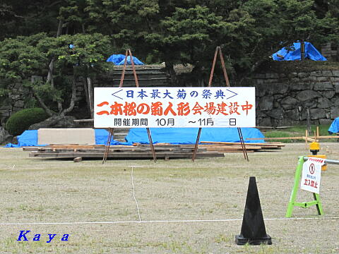 6IMG_3162