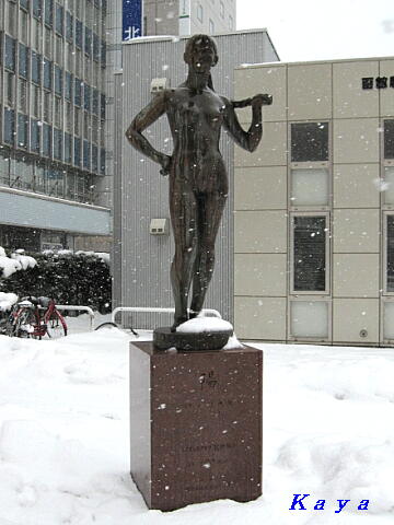 7IMG_3159