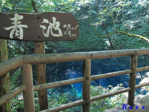 7IMG_5589