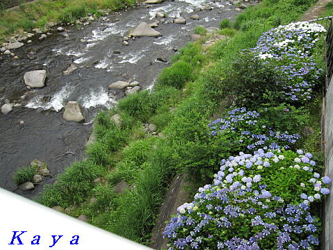 4IMG_2337