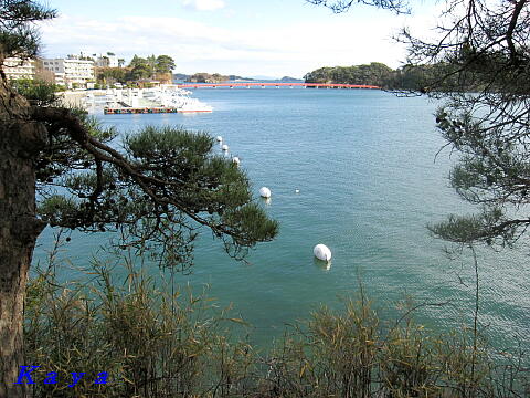 5IMG_1710