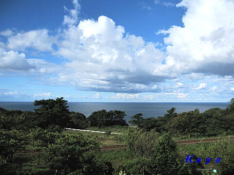 8IMG_5483