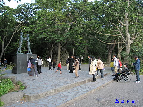 5IMG_5830