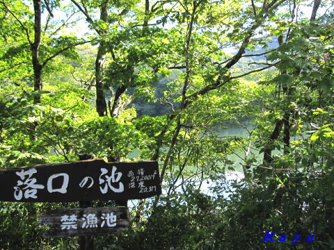7IMG_5553