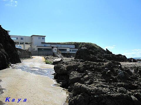 6IMG_5653