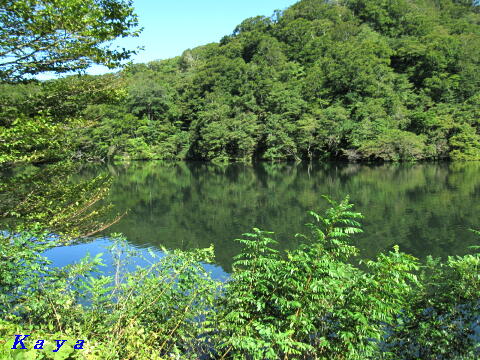 7IMG_5555