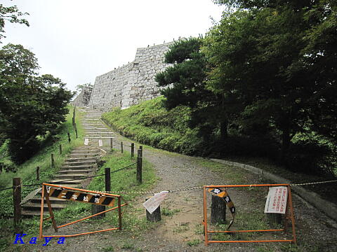 6IMG_3179