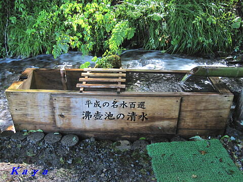 7IMG_5564