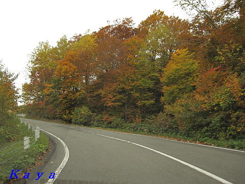2IMG_7596