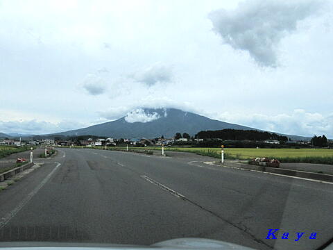 8IMG_4734