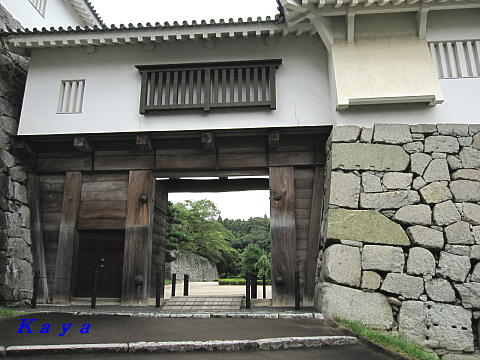 6IMG_3161