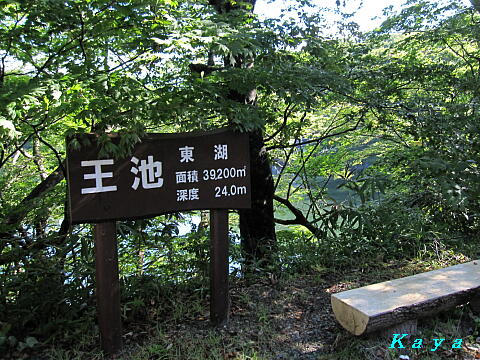 7IMG_5510