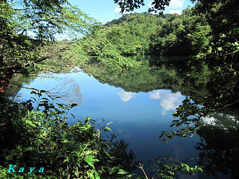 7IMG_5585