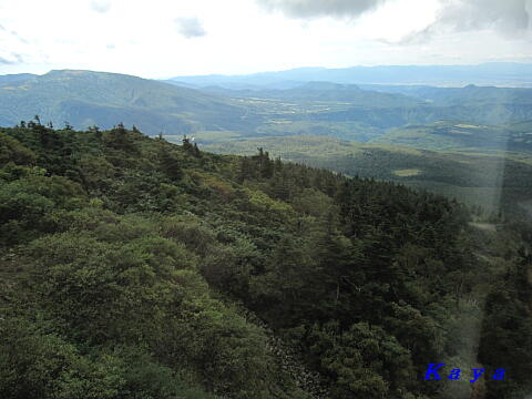 5IMG_6253