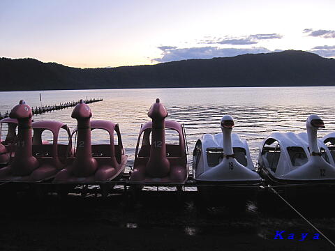 5IMG_5938