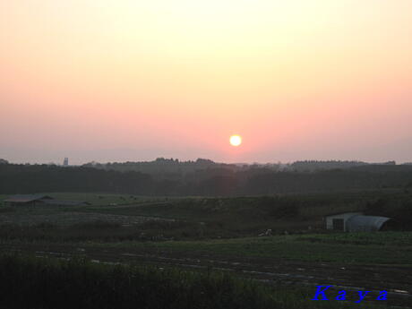 4IMG_3962