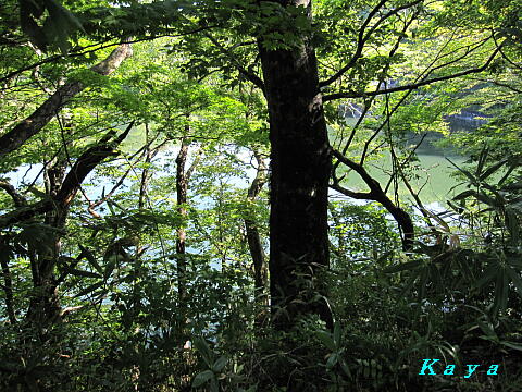7IMG_5512