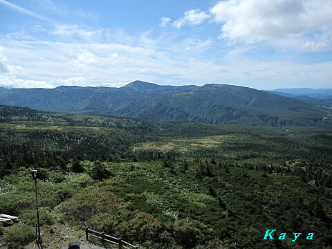 6IMG_6159