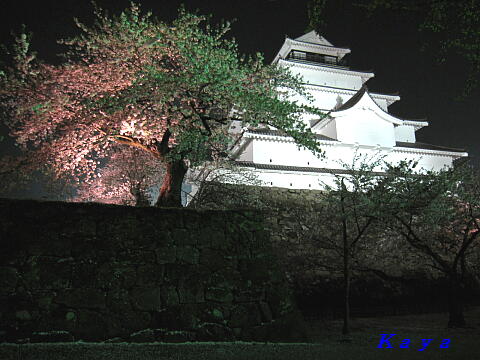 4IMG_7841