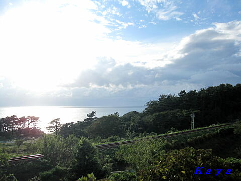 4IMG_5339