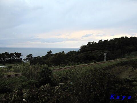 4IMG_5373