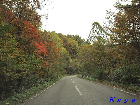 2IMG_7580