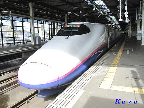 8IMG_4676