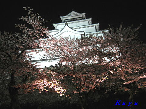 4IMG_7843