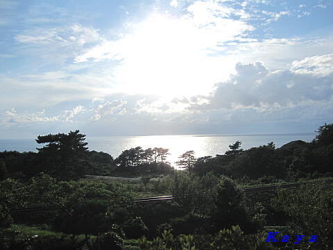 4IMG_5335