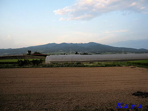 2IMG_2288
