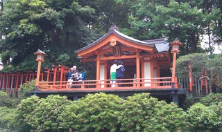IMAG0395