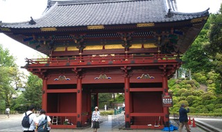 IMAG0396