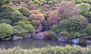 IMAG0398