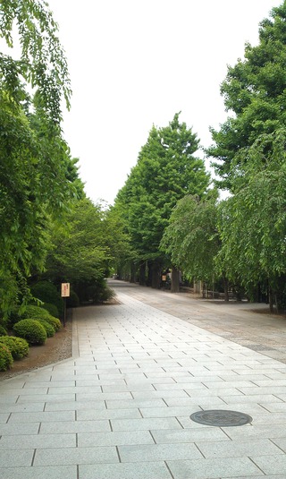 IMAG0402
