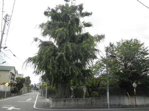P6042282