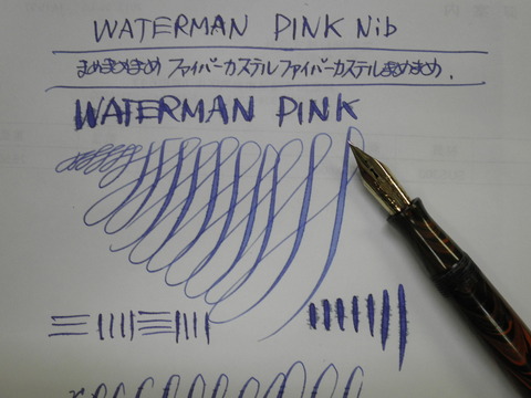 Waterman 万年筆 Fペン先＋インク付 WATERMAN ウォーターマン 万年筆 エキスパート エッセンシャル