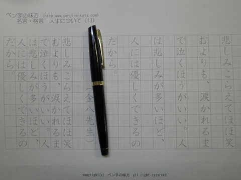 PILOT E-300 14K-585 ＜MANIFOLD＞ : 万年筆おやじの備忘録