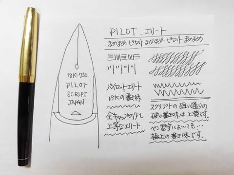 Yahoo!オークション - 【未使用】 パイロット 万年筆 エリート