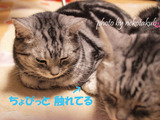 ちょぴっと触る