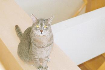 IMG_20130829_0003_NEW
