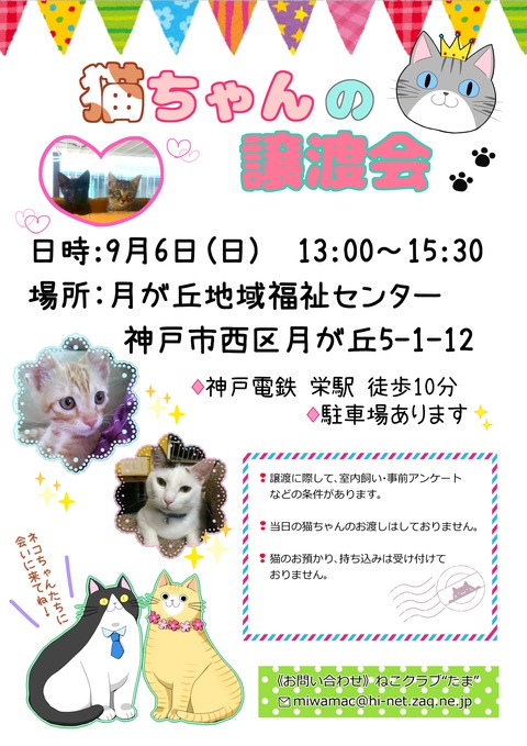 メールアドレス版jpeg
