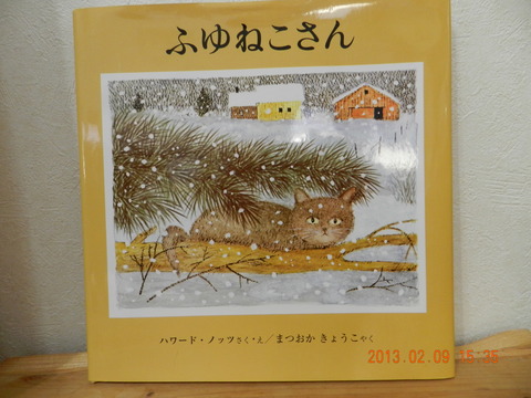 ふゆねこさん1