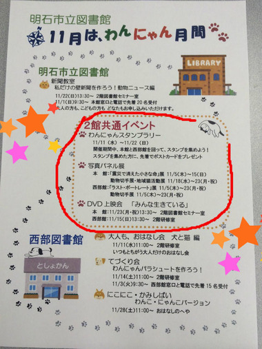 BlogPaint