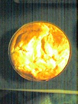 f84b9b76.jpg